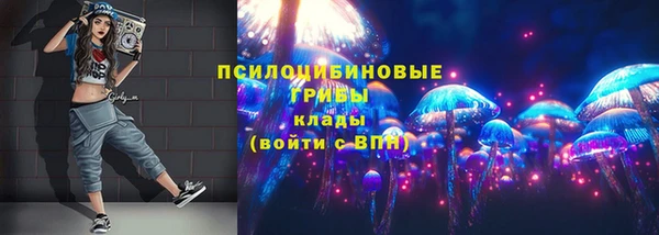 дмт Алзамай
