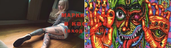 дмт Алзамай