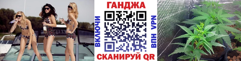 Каннабис планчик  Белоозёрский 